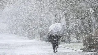 20 ноября в Пензенской области прогнозируют сильный снегопад