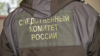 В Рязани заключили под стражу подозреваемого в разбойном нападении мигранта