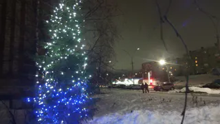 Сделают 12-й выходной- Новогодние каникулы станут длиннее чем обычно: россиян обрадовали таким неожиданным решением