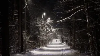 В Пензе открыли три лыжные трассы для горожан