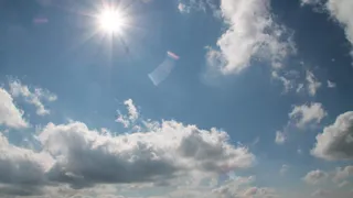 Сегодня в Брянской области потеплеет до +5ºC