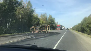 Остов, покрытый копотью: в Путятинском районе после ДТП сгорел грузовик