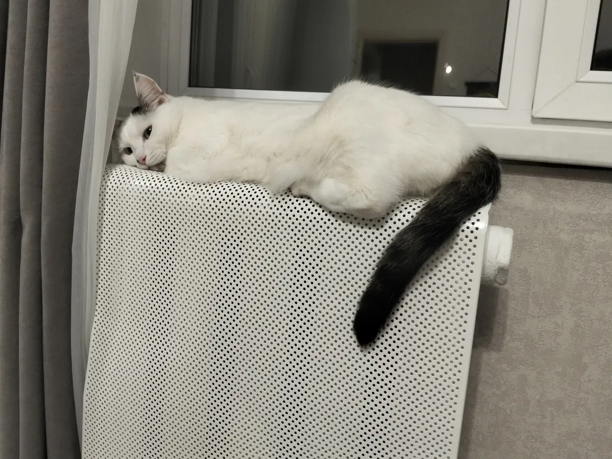 Жители Татарстана могут требовать перерасчет в случаях некачественного отопления