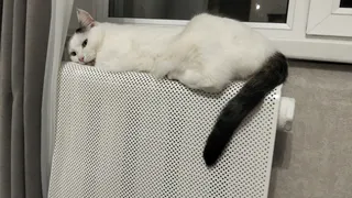 Жители Татарстана могут требовать перерасчет в случаях некачественного отопления