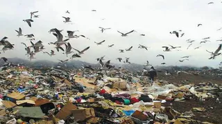 Забота с выгодой: Нижнекамск присоединился к акции "Нашел свалку - получи тысячу"