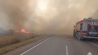 Рязанская прокуратура начала проверку и запустила «горячую линию» из-за пожаров
