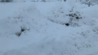 «Новогодняя столица — с сугробами и буксующими колясками»: рязанцы возмущены состоянием улиц