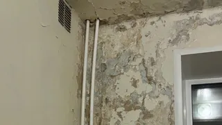 В Кольчугинской районной больнице выявлены серьезные нарушения санитарных норм