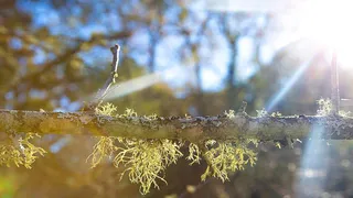 Аномальное тепло: синоптики представили прогноз погоды на конец этой недели