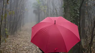 Майские дожди и грозы прощаются с Челябинской областью: прогноз погоды на неделю