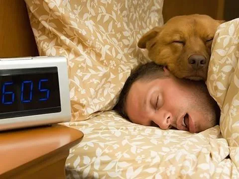 Приметы и запреты на 22 апреля: не вздумайте спать долго - кое-что проспите...