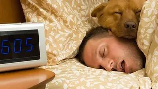 Приметы и запреты на 22 апреля: не вздумайте спать долго - кое-что проспите...