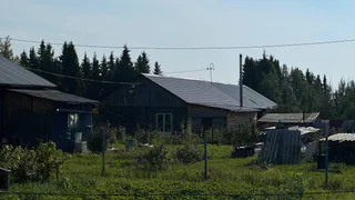 Нашла замену навозу, которая в 3 раза повышает урожай. Теперь земля отдыхает и благодарит щедрым сбором