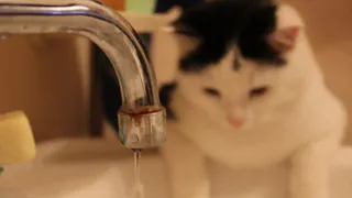 Список адресов: во вторник рязанская улица останется без воды