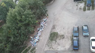 Законы привычки. Что происходит, когда мусорные контейнеры увезли, а людям все равно