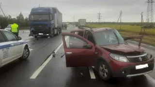 В Михайловском районе в ДТП с грузовиком скончался 80-летний водитель Renault