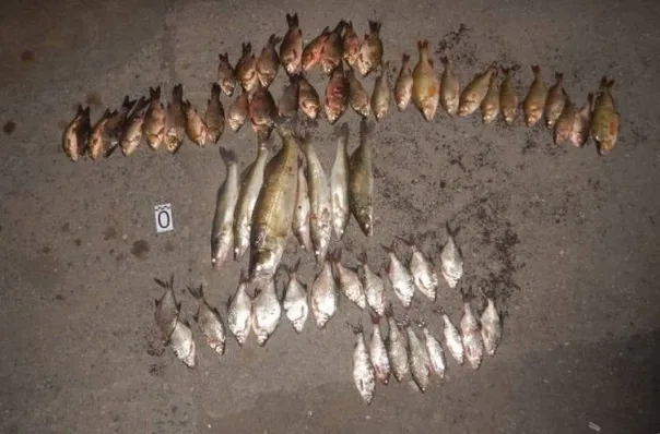 Браконьер на крючке: в Магнитогорске завели дело на рыбака, ловившего рыбу сетями во время нереста