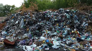 Суд обязал администрацию Судогодского района ликвидировать несанкционированную свалку отходов