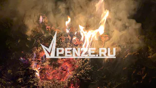 С 20 декабря в области будет действовать полный запрет на продажу пиротехники