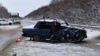 В Рязанской области осудили мигранта за смертельное ДТП в Шацке