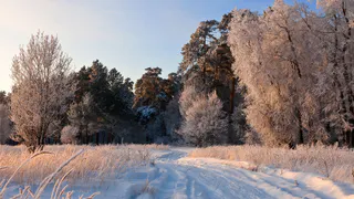 Гидрометцентр предупреждает о заморозках в Нижнекамске