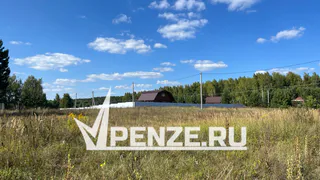 Волонтеры ищут 86-летнюю Татьяну Назарову из Пачелмского района