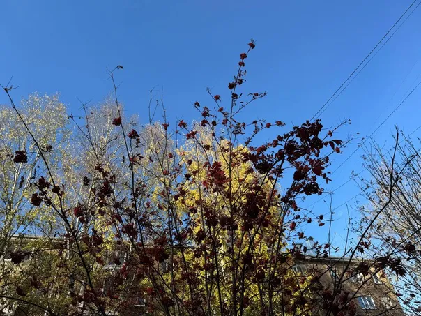 Челябинская область столкнётся с резкими перепадами температур: от -14 до +11 градусов