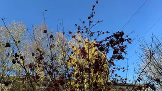 Челябинская область столкнётся с резкими перепадами температур: от -14 до +11 градусов