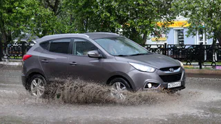 Погода: 22 июня в Рязани ожидаются осадки