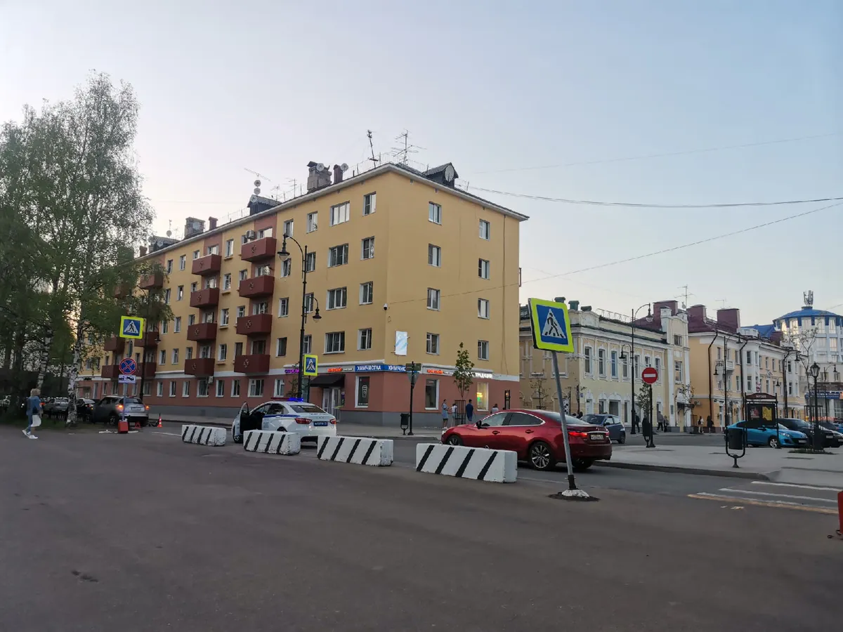 Под Челябинском автомобилисты бросили умирающего быка на автотрассе