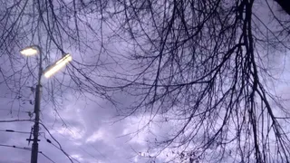 В воскресенье в Рязани может выпасть снег