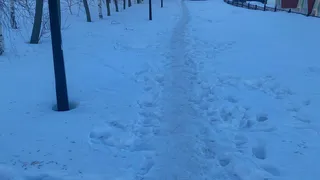 Дорожки не почищены от снега, баки полны мусора