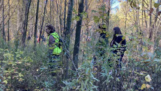 В районе Сысоева начались поиски Елены Логуновой: пришли десятки добровольцев