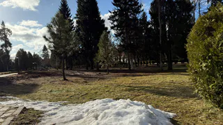 В Рязани прошел второй субботник, где собрали более 700 кубометров мусора