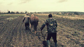 Только прожив 3 года в деревне, поняли, что тут нужно зарабатывать совсем не сельским хозяйством - жаль раньше не поняли