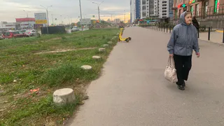 Что положено пенсионерам, которые официально не работали уже больше 10 лет