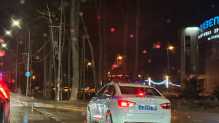 Названа возможная причина ДТП с четырьмя погибшими людьми в Рязанской области