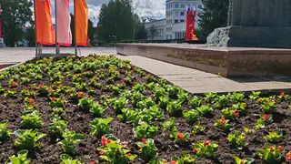 Сыктывкар расцветает: 85 клумб украсят город к летнему сезону