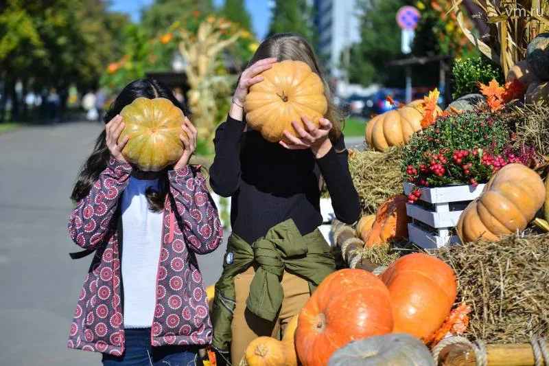Нижнекамцев приглашают на «Тыква-фест»