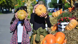 Нижнекамцев приглашают на «Тыква-фест»