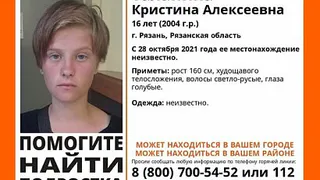 Полиция возбудила уголовное дело после пропажи девочки под Рязанью