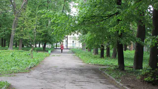 Все-таки нельзя: рязанские власти запрещают гулять в скверах