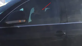 Обочечник проехал пробку на Московском шоссе по газону