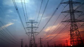 Электрика осудят: в Путятинском районе ребенок залез на дерево и пострадал от удара током