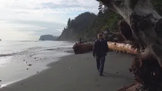 Рязанские археологи отправились в экспедицию к калифорнийскому побережью