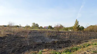 В Рязанской области оштрафовали виновницу пожара на площади 4,5 гектара