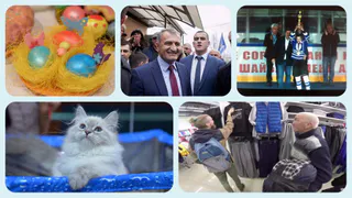 Только хорошие новости – подборка от Pro Города