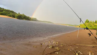 Житель Коми оштрафован за незаконную ловлю хариуса