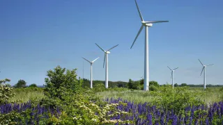 В Буинском районе Республики Татарстан появится ветроэлектрическая станция – "Свияжская ВЭС"