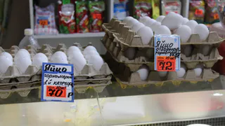Гениальное решение: Минсельхоз намерен снизить цены на яйца введением пошлин